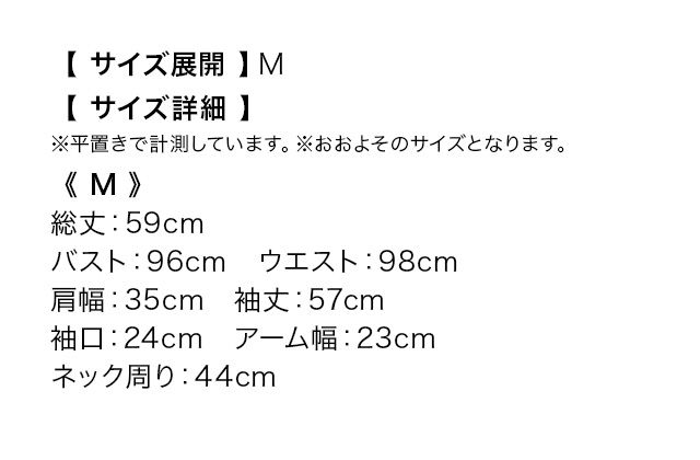 レース襟フォーマル長袖ボタンブラウスのスペック表