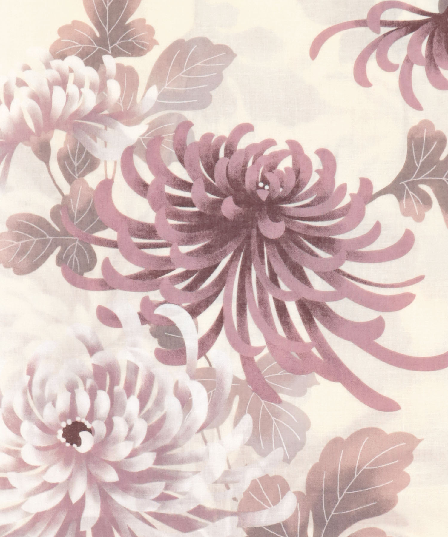 乱菊柄生成り地大人の浴衣3点セット レディース浴衣の商品詳細2