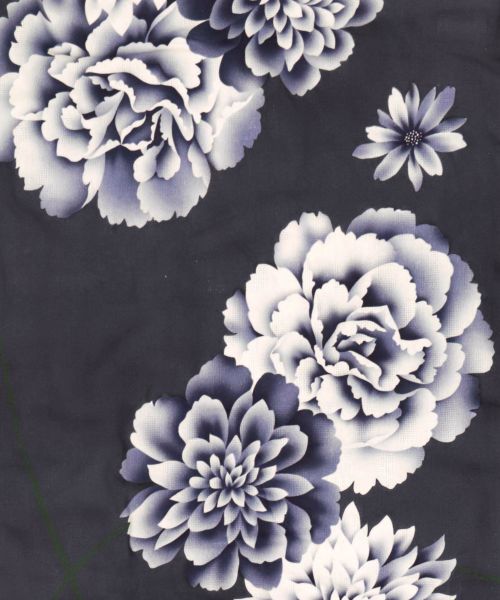 SALE] 濃紺地に大柄菊牡丹 大人の3点セットレディース浴衣(浴衣+