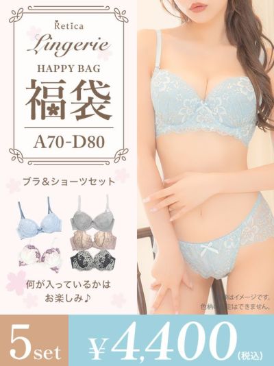 [決算福袋] ランジェリー5点セット (ブラジャー&ショーツセット5点)